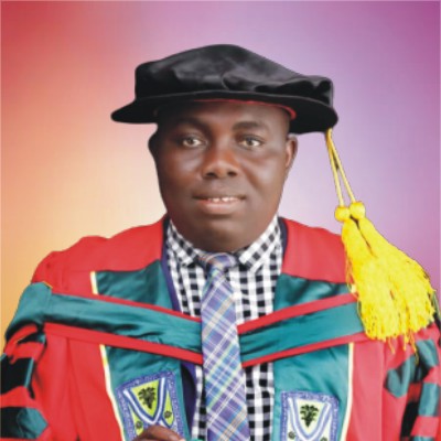 Ugwu Okechukwu Paul-Chima